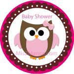 Baby Owl Baby Shower Sticke..
